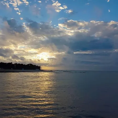 Daire L'envol Du Goeland *