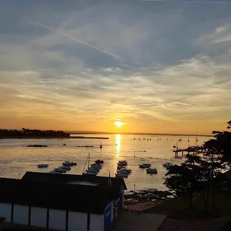 Daire L'envol Du Goeland