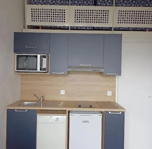 L'envol Du Goeland *