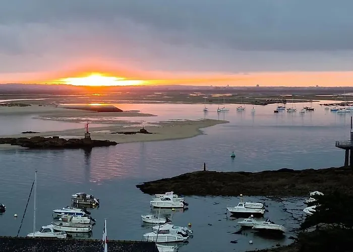 L'envol Du Goeland Le Croisic